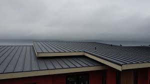 Best Green or Eco-Friendly Roofing Solutions  in Rocky Point, NC